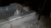 IMG-20170613-WA0001.jpg
