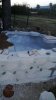 IMG-20170626-WA0007.jpg