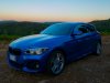 BMWF21.jpg