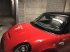 A8707B8D-98CA-46C7-8F19-F446AFF91259.jpeg