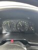 IMG_4566.jpeg