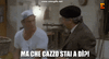 IMG_8886.gif