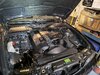 IMG_20241026_131619468.jpg