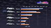 7-novembre-numbers-web-3-ita.jpg