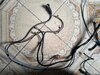 IMG_20250121_145810620_AE_kopfI4Tm6b.jpeg