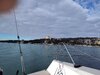 IMG_20250202_135917093.jpg