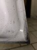 IMG_6337.jpeg