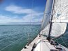 IMG_20250419_165055166.jpg
