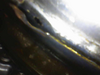 Image_2025-05-30 16_24_09_372.png