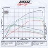 Biesse (2).jpg