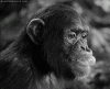 18944AE1-21AA-4E58-BF00-E4D8BC612C31.gif