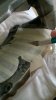 WhatsApp Image 2018-06-24 at 12.08.43.jpg
