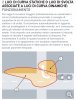 4948BFDD-AAD7-4E44-88F4-169818748D34.jpeg