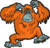 gif animate scimmie (106).gif