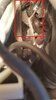 20180930_101516.jpg