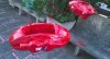 SGPhoto_2018_02_16 07_47_15.jpg