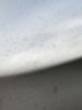 F7BF06C1-B785-40A3-A6EB-8FD770838756.jpeg