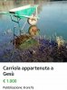 carriola.jpg