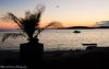 DSC_5046.jpg