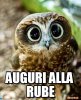 GUFO-RUBE.jpg