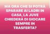 356FECE6-FE1C-4867-A621-593E1EED2750.jpeg