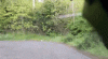 09964466-2B69-4819-A5BE-12BACC51040C.gif