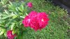 IMG-20190614-WA0002.jpg