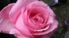 IMG-20190614-WA0012.jpg