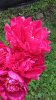 IMG-20190614-WA0001.jpg