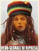 027b529e2543231562ba9eaddc251f30--funny-monkey-pictures-terry-oquinn.jpg