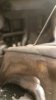 Screenshot_20190522-203308_Video Player.jpg