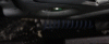 IMG_20191011_154929.gif