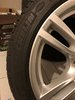 IMG_3648.jpeg