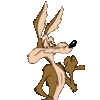 Wile-E-Coyote.jpg.gif