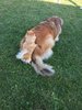 IMG-20180930-WA0009.jpg
