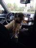 B0E92567-6DE4-40D8-9906-3245E9AD0D79.jpeg