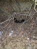 20191030_183548.jpg