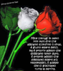 upload_2020-3-24_9-39-48.png