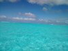 IMG_20150530_114905771.jpg
