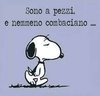 60AD2A39-3E62-4CE8-8D68-BC5A4727C9EA.jpeg