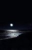 upload_2020-4-17_1-6-22.jpeg
