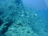 3E331B52-8C70-4A29-9458-03D050918ACF.jpeg