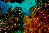 596D1B06-E155-4BA3-8A11-D6EB113BC91A.jpeg