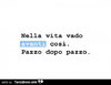 a1iudf1yhv-nella-vita-vado-avanti-cosi-pazzo-dopo-pazzo_a.jpg
