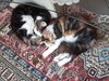 20201010_142556.jpg