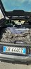 IMG-20201101-WA0000.jpg