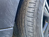 IMG_2695.jpeg
