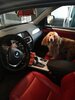 IMG_20201217_184231.jpg