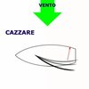 cazzare.jpg