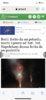 4738B1FA-F9C6-4CEF-9BB2-A85A6A14084F.png